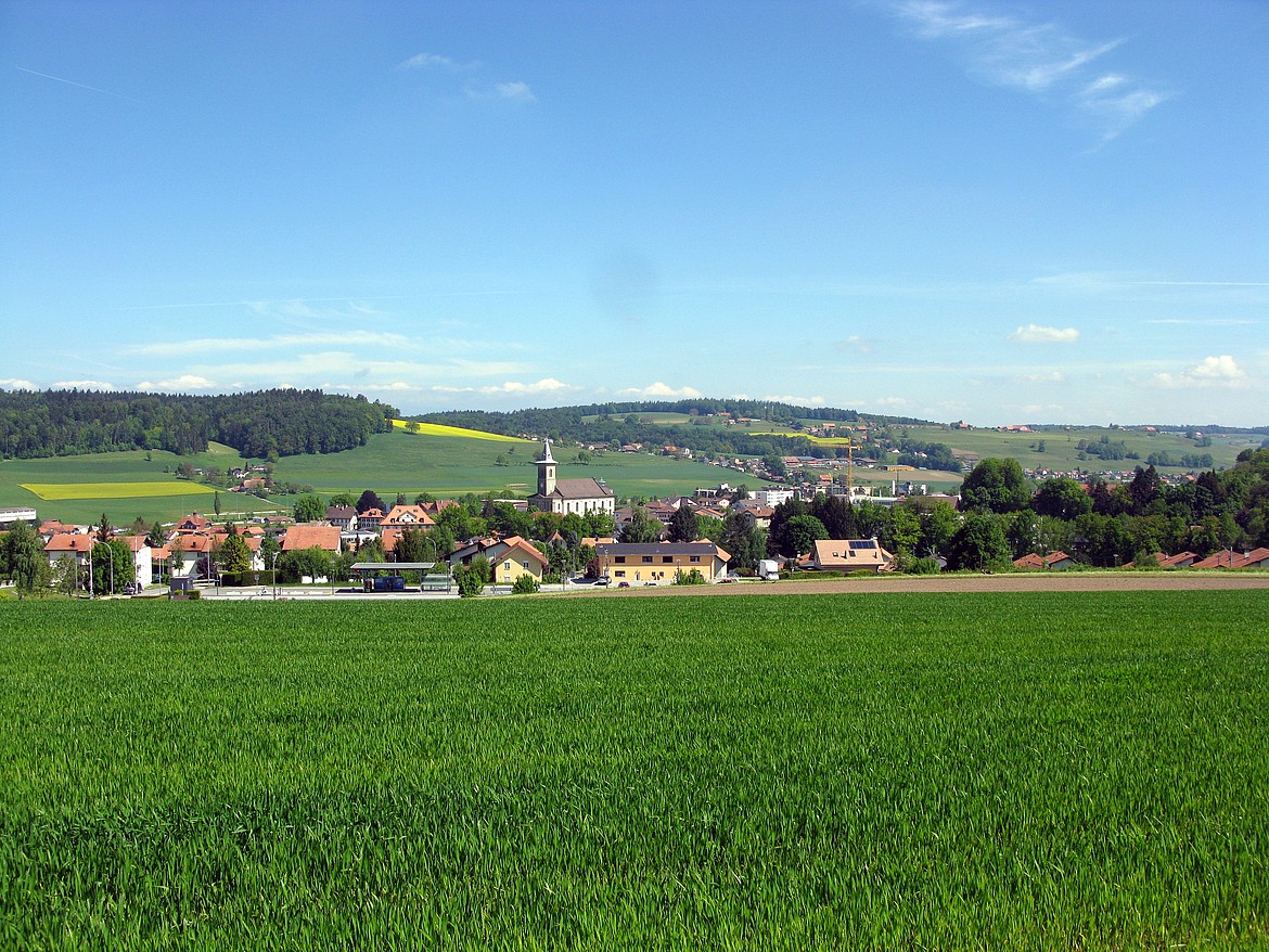 Panorama