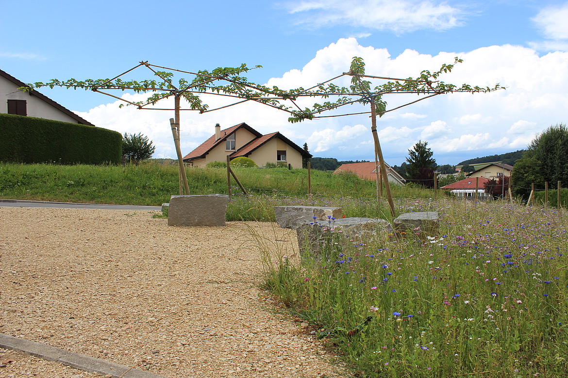 En-Verdau