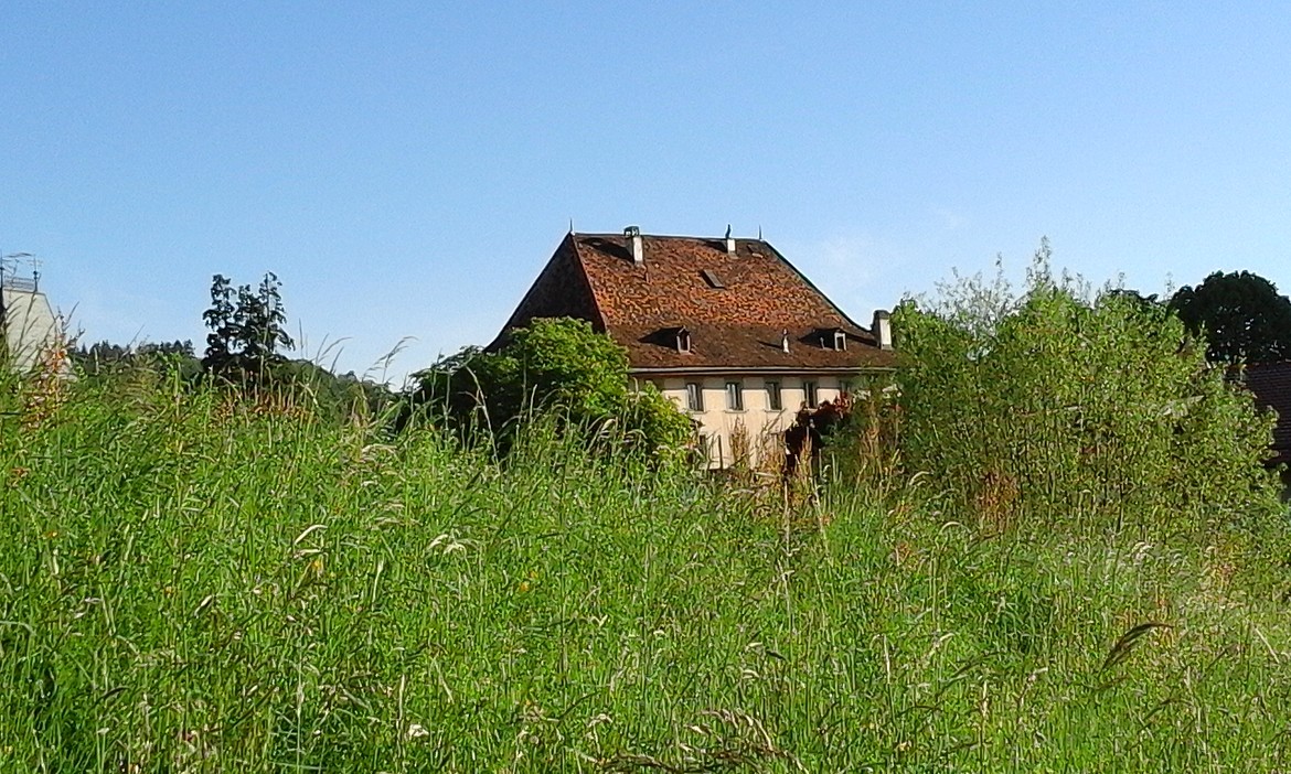 Le Mouton, le matin